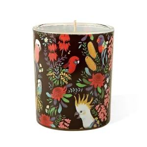 Candle: Bush Parrots